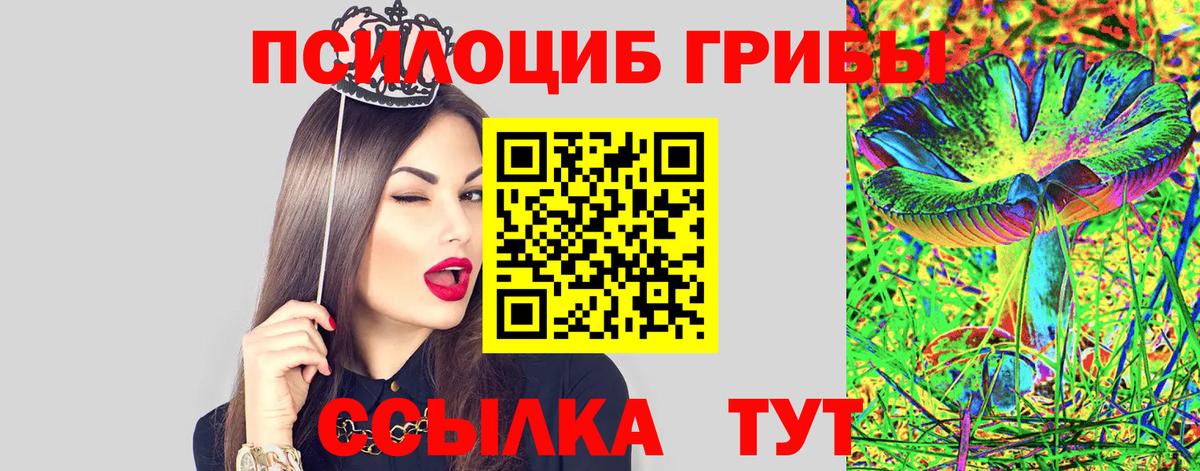 Галлюциногенные грибы Psilocybine cubensis Кудымкар